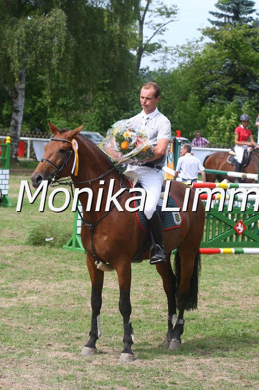 308M5340_Springpferde M.JPG